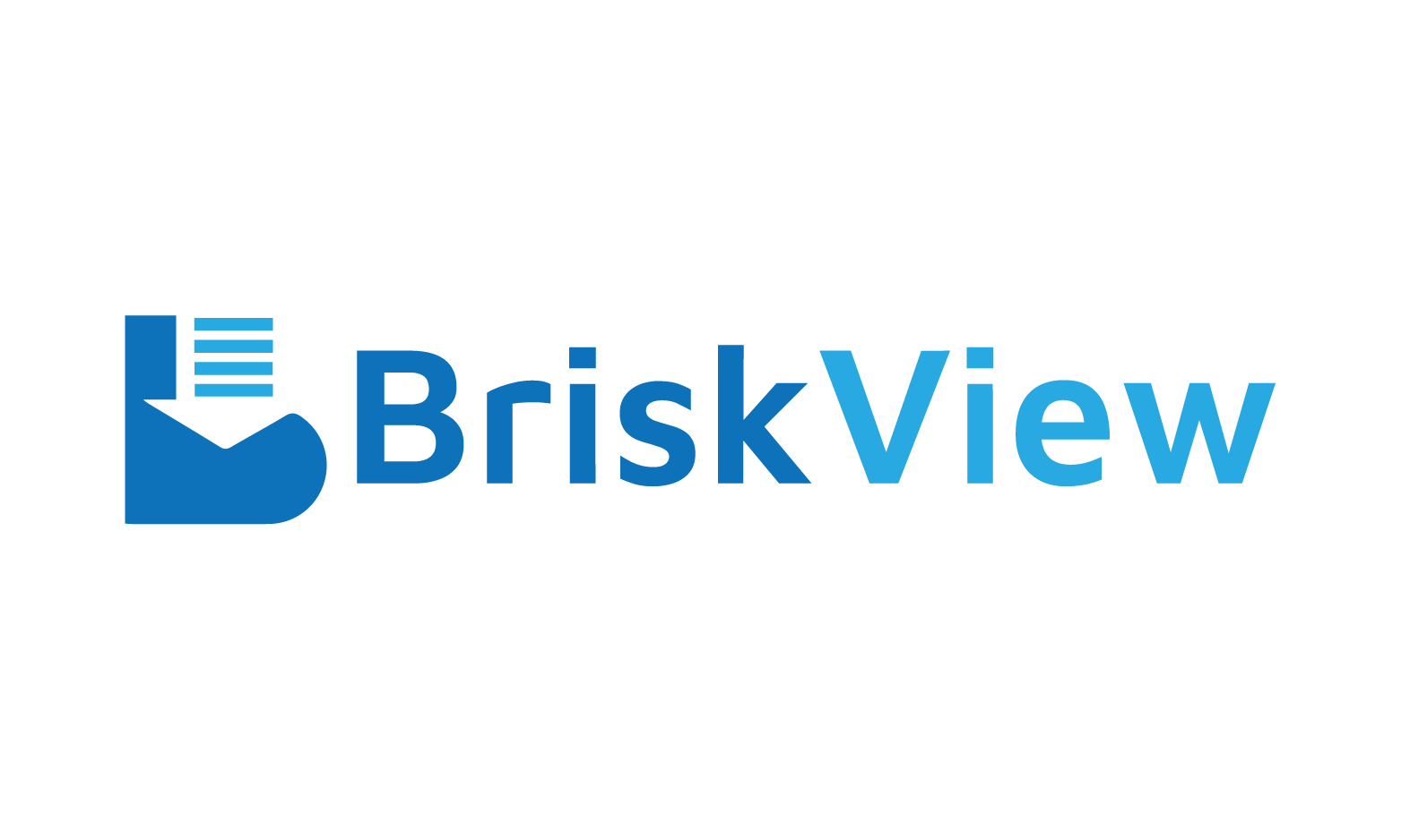BriskView.com - Creative brandable domain for sale